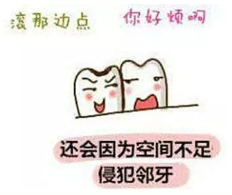 智齿