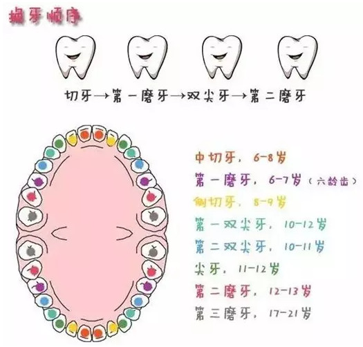 儿童换牙 爱雅仕